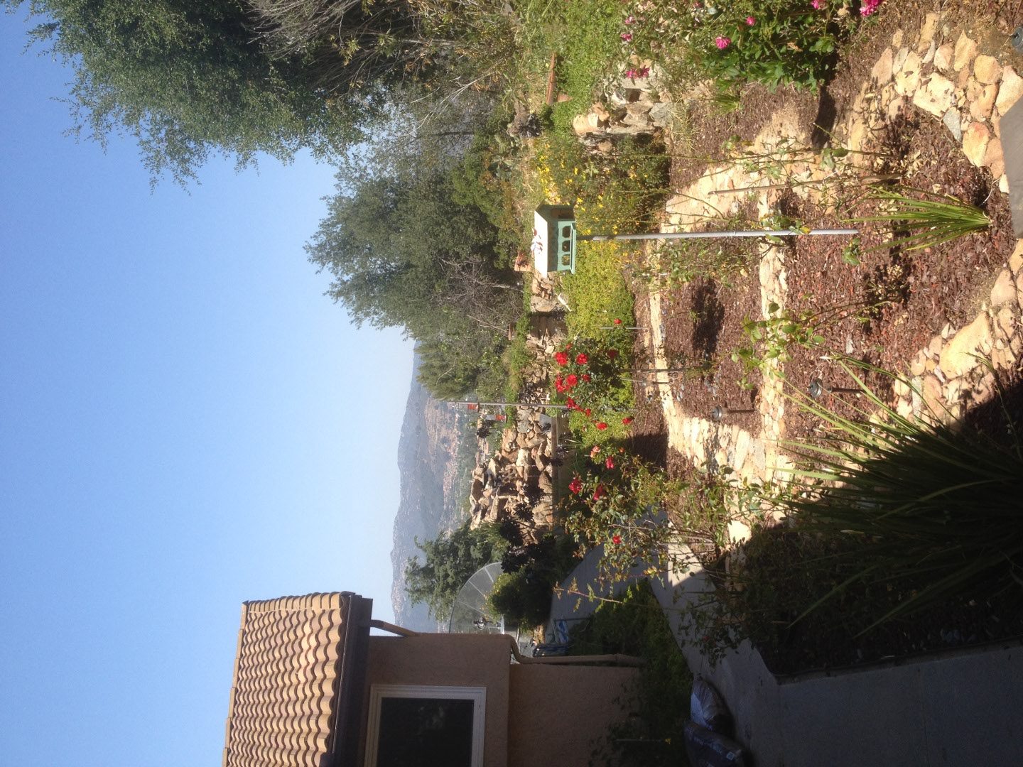 2406 photo 23